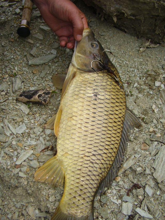 ce e mai bun decat un boiles ? - asa ceva cred ca numa in romania se gaseste